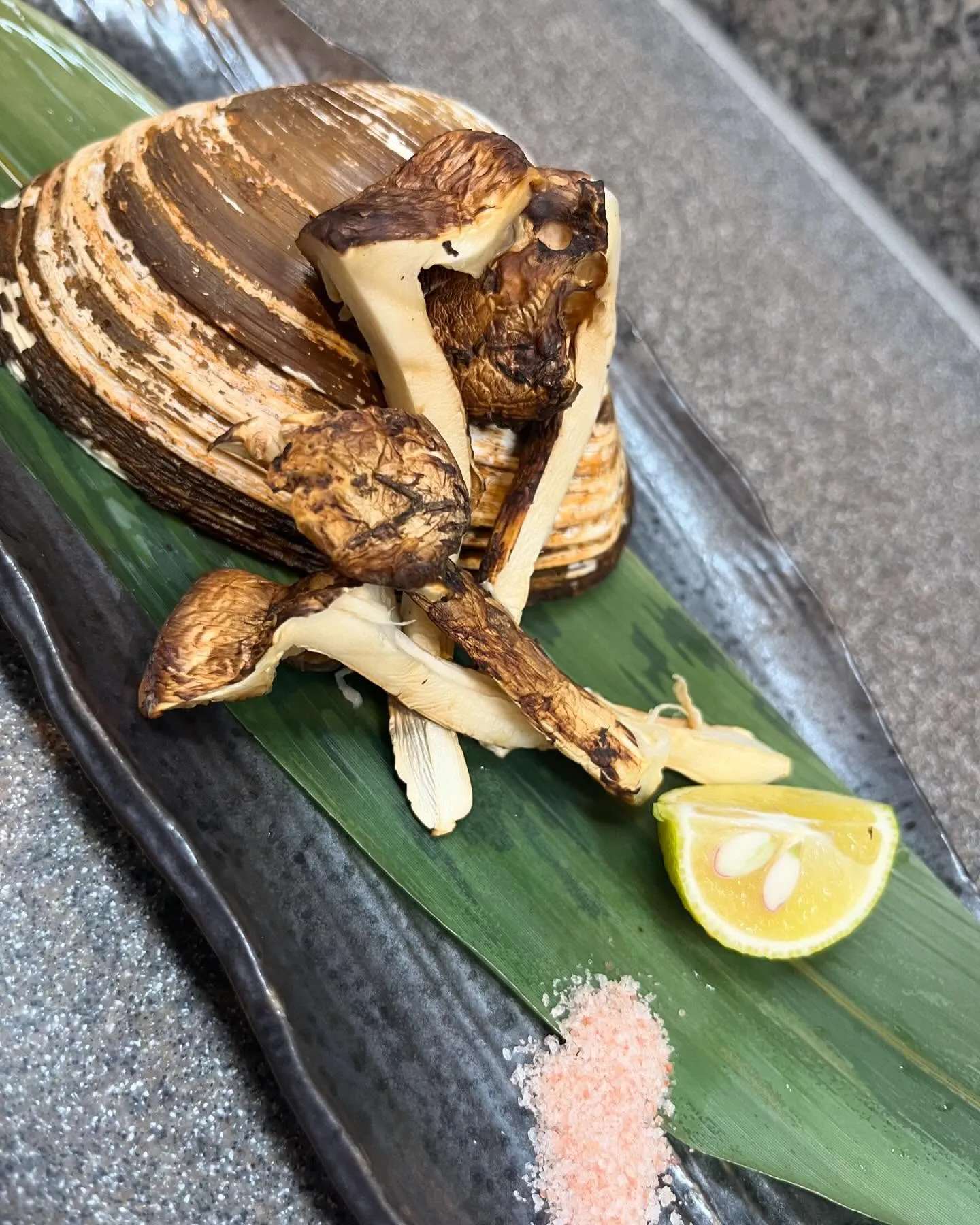 おはようございます!