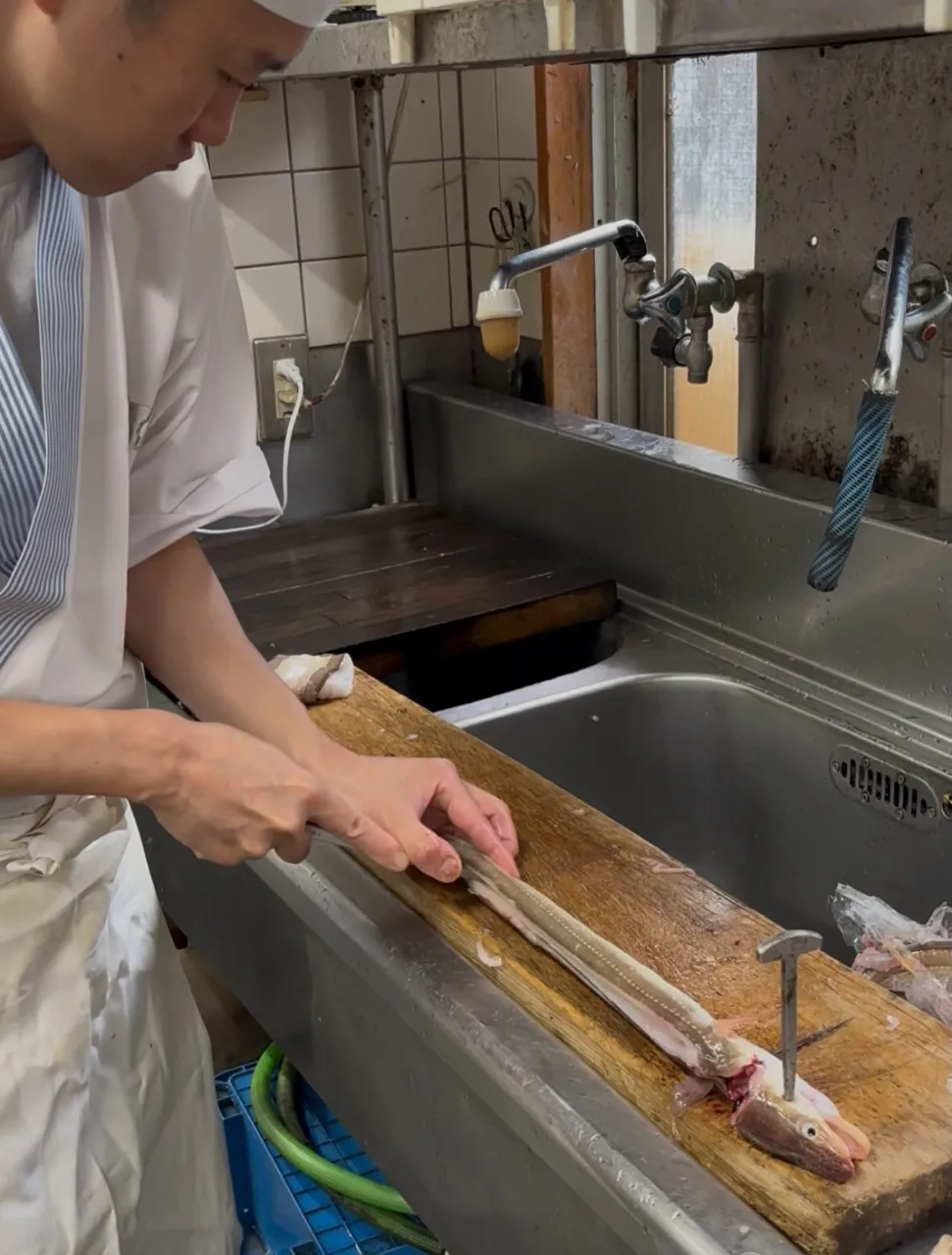 甲府で海鮮なら伊津美にお任せください!